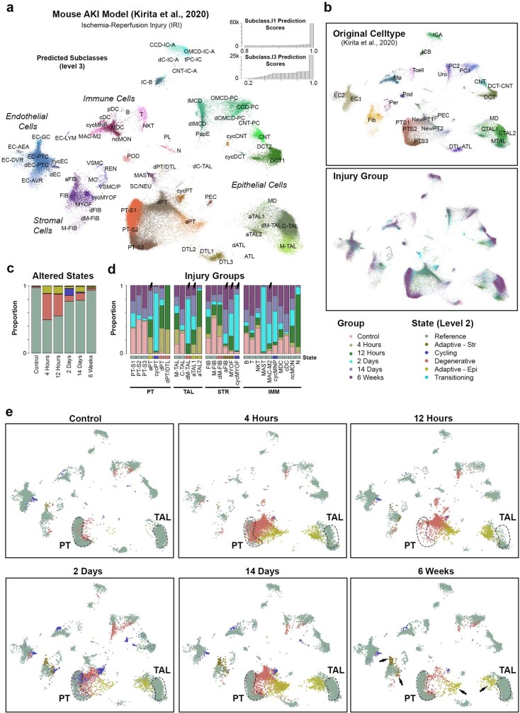 Extended Data Fig. 6