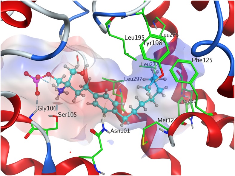 FIGURE 4