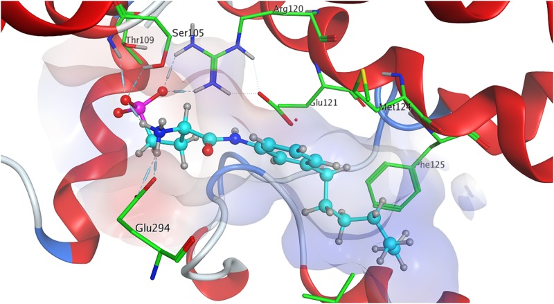 FIGURE 2