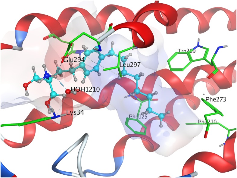 FIGURE 3