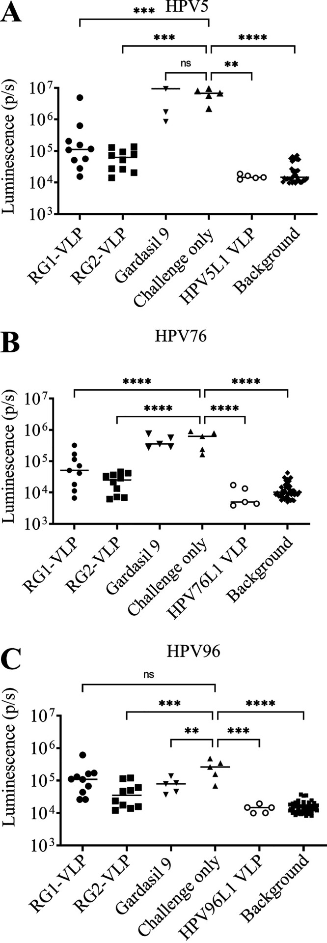 FIG 6