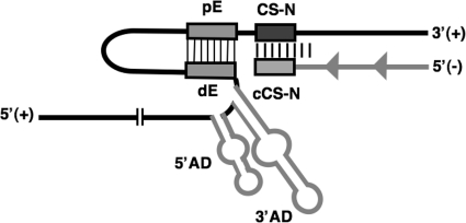 Fig. 10.