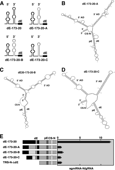 Fig. 8.