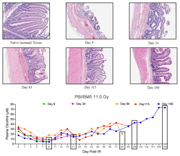 Fig. 7