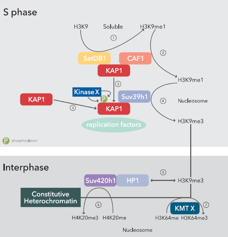 Figure 7.