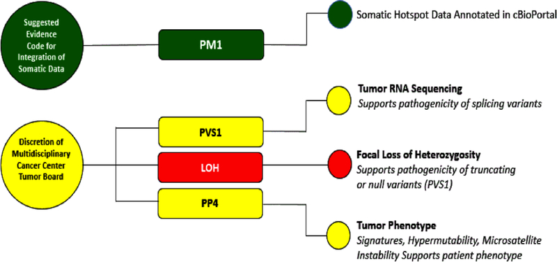 Figure 5: