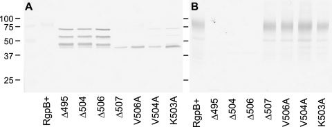 FIG. 9.