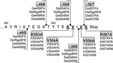 FIG. 2.