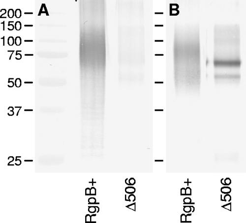 FIG. 5.