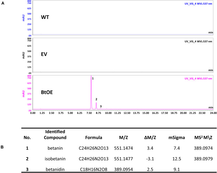 FIGURE 4