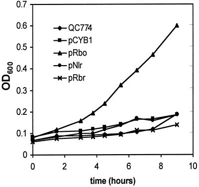 FIG. 4