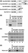 FIG. 5.