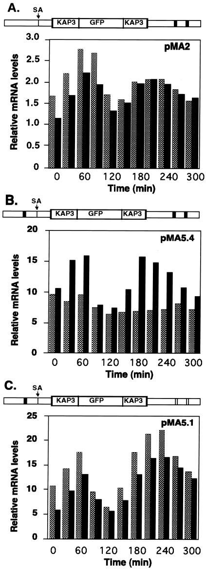 FIG. 4.