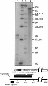 FIG. 5.