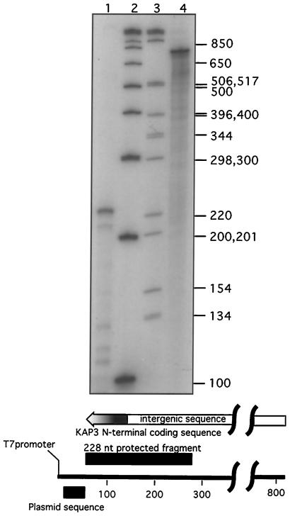 FIG. 5.