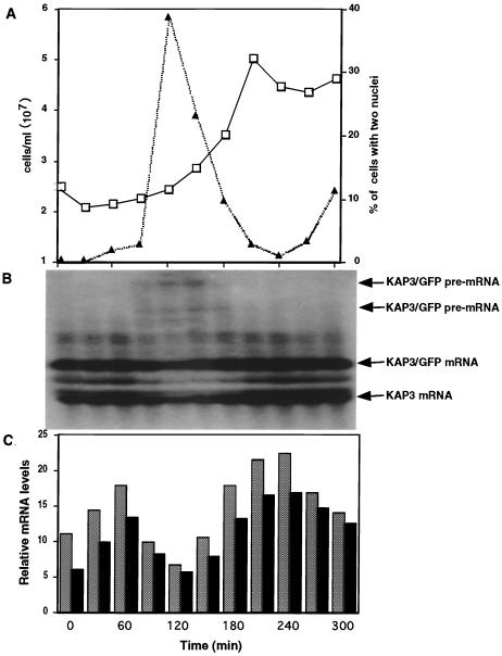 FIG. 6.