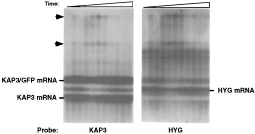 FIG. 7.