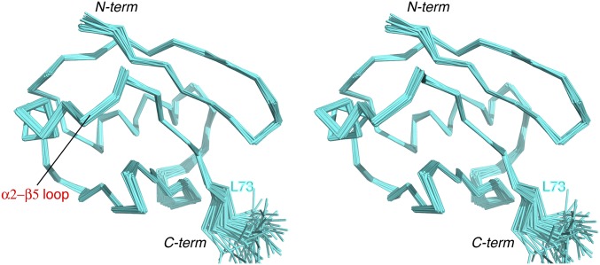 Fig. S5.