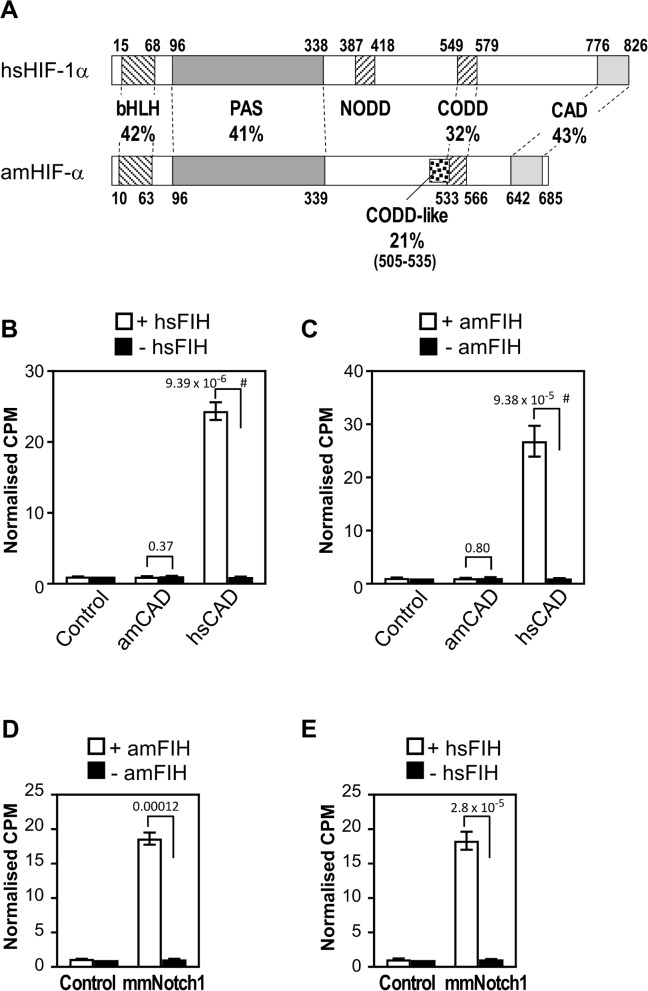 Fig 9