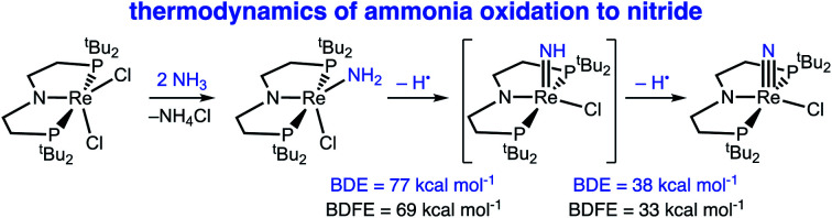 graphic file with name d1sc04503b-ga.jpg