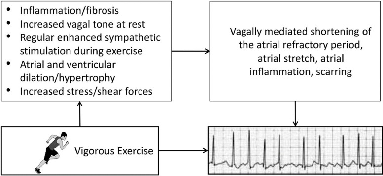 Fig. 11