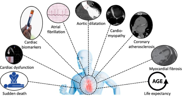 Fig. 10