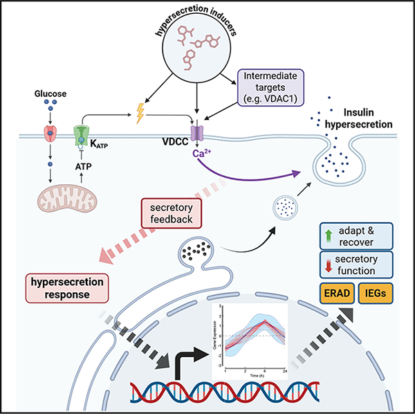 graphic file with name nihms-2092694-f0001.jpg