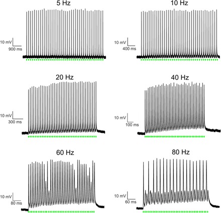 Fig. 7