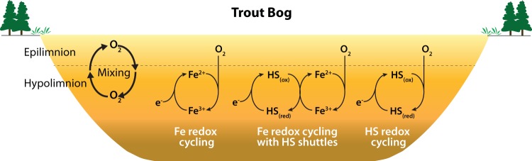 FIG 3