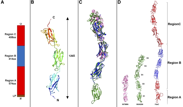 FIG 2 