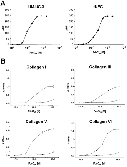 FIG 3 