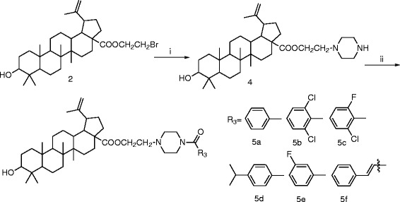 Scheme 2