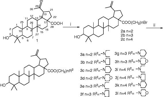 Scheme 1