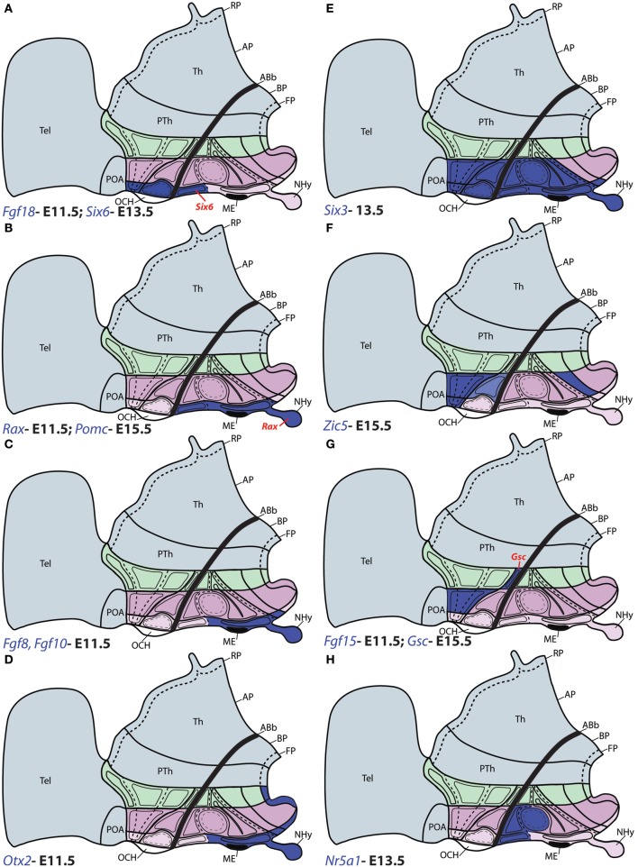 Figure 6