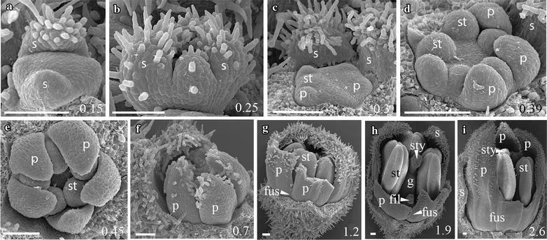 Fig. 6