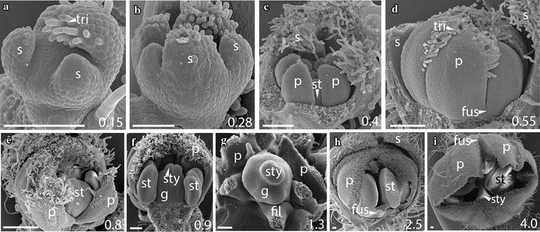 Fig. 3