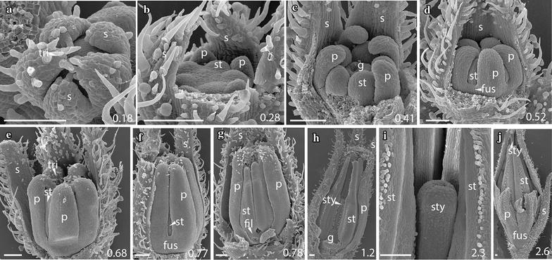 Fig. 7