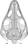 Figure 19