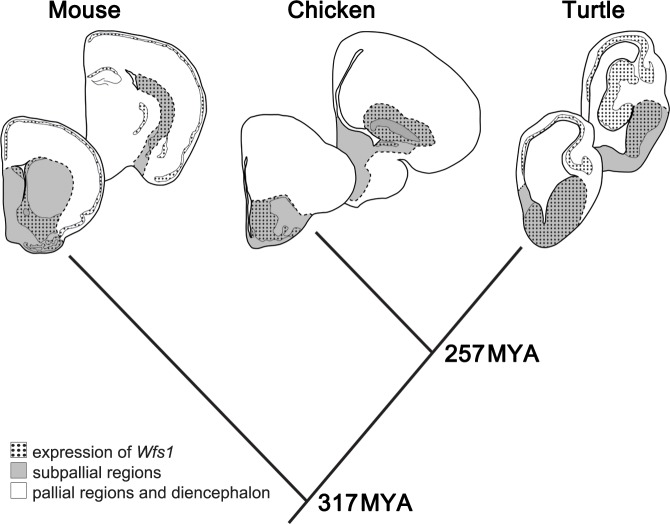 Fig 8