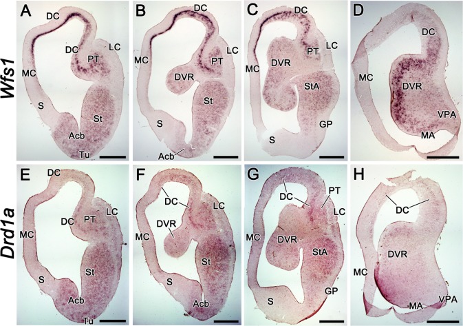 Fig 7