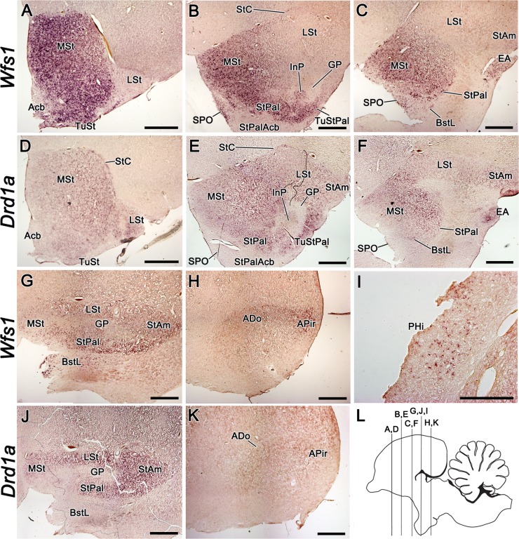 Fig 5