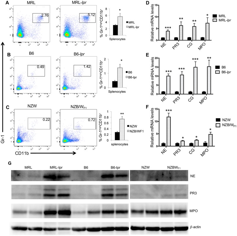 Fig 8