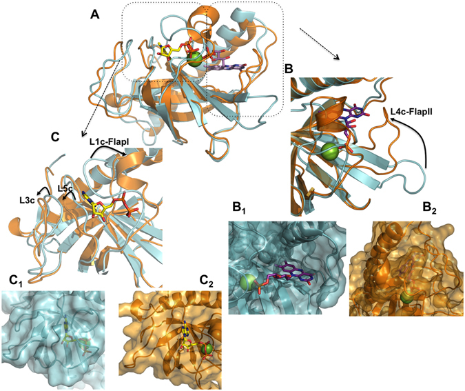 Figure 6