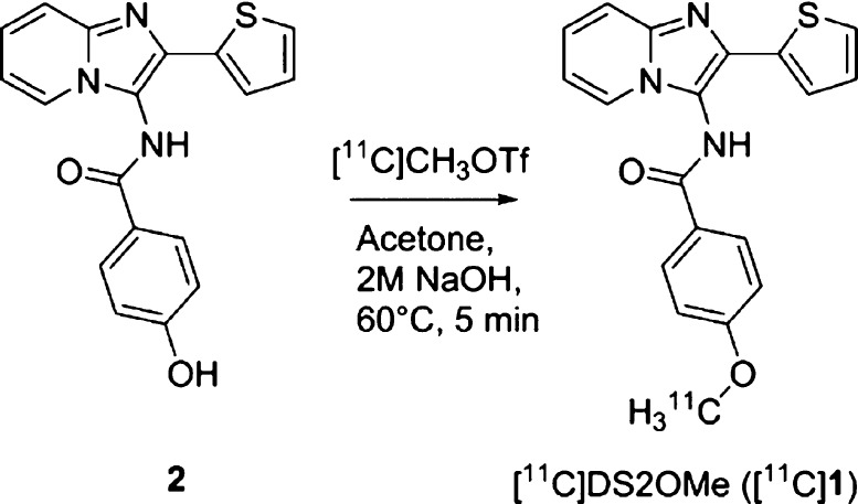 Scheme 1