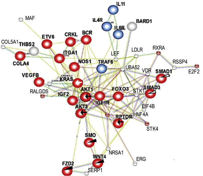 Figure 4