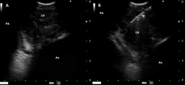 Fig. 2.