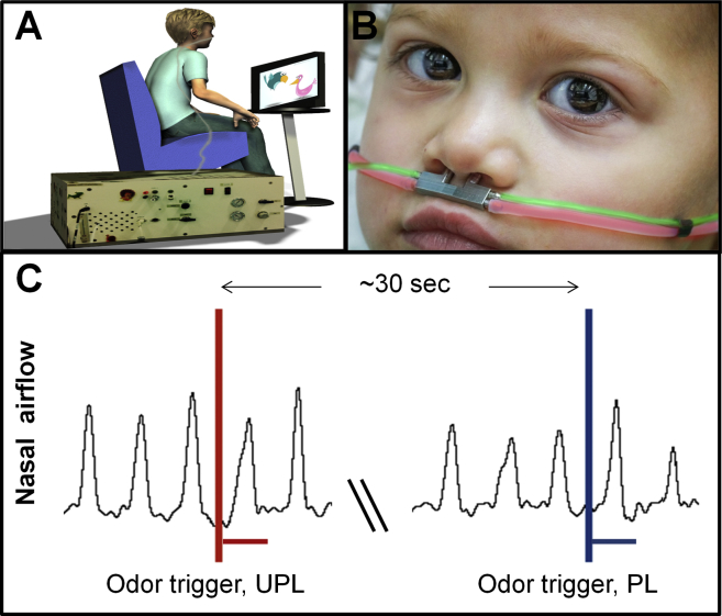 Figure 1