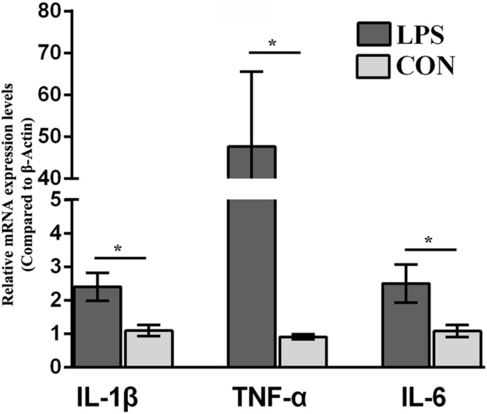 FIGURE 1