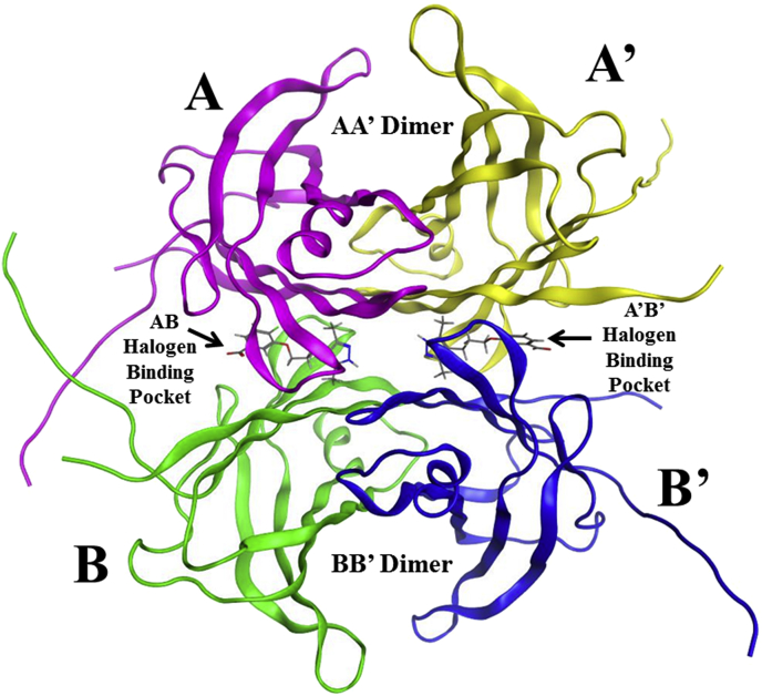 Fig. 1