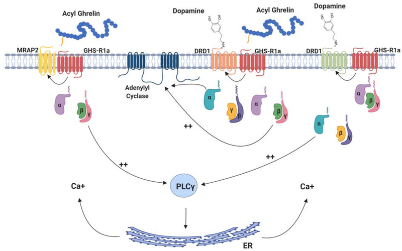 Figure 4.